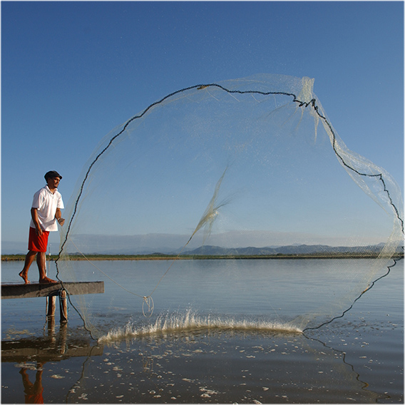 Classic Fine Foods Group Sourcing