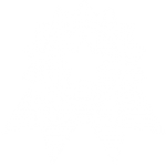 Quality assurance department